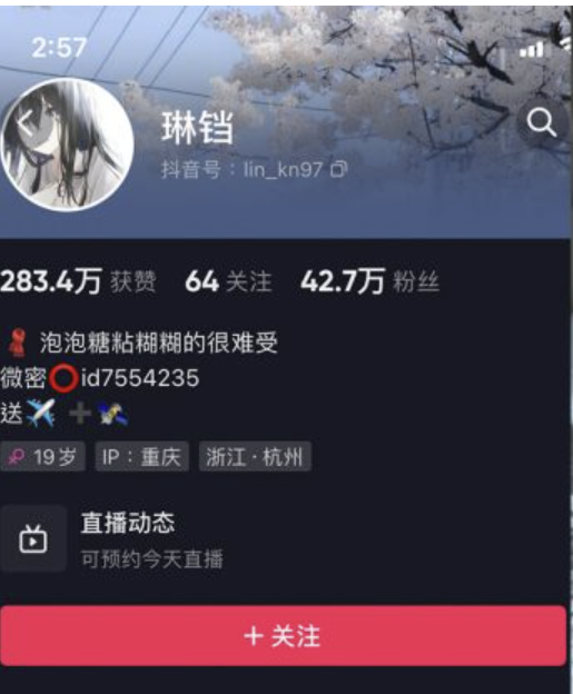 琳铛 – 微密圈合集-小爱·美女部落